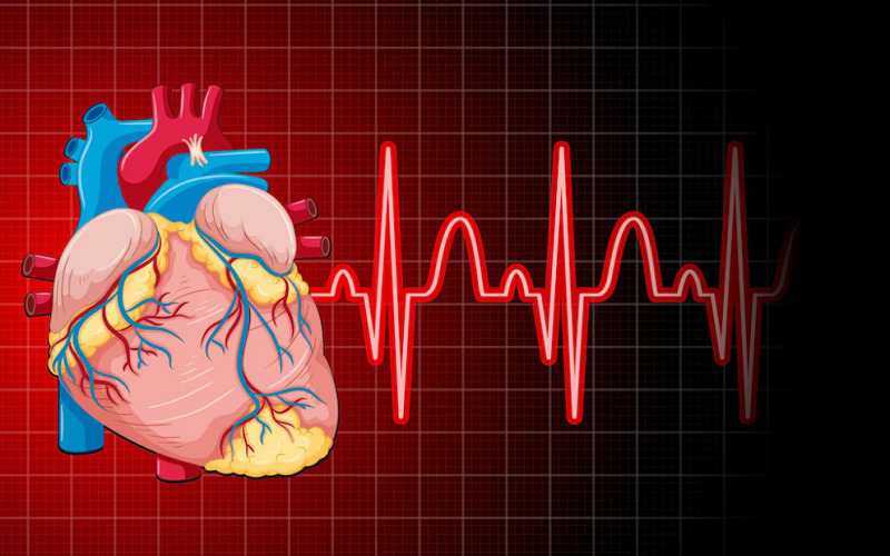 Hearthstats Net News